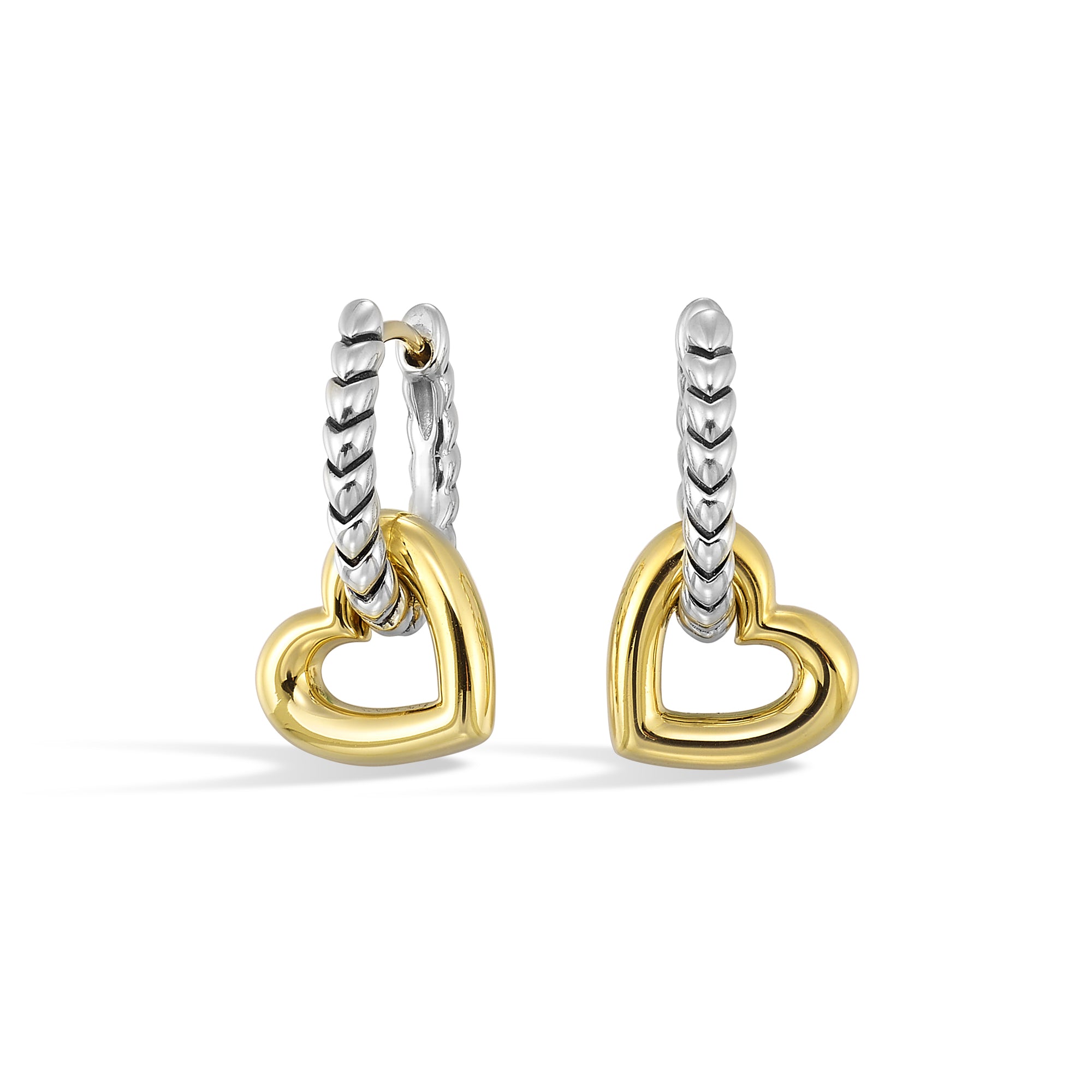 Gold Silver White Yellow Earring - ER41694-4YSS