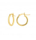 Gold Hoops: Essential 2x15mm Earrings